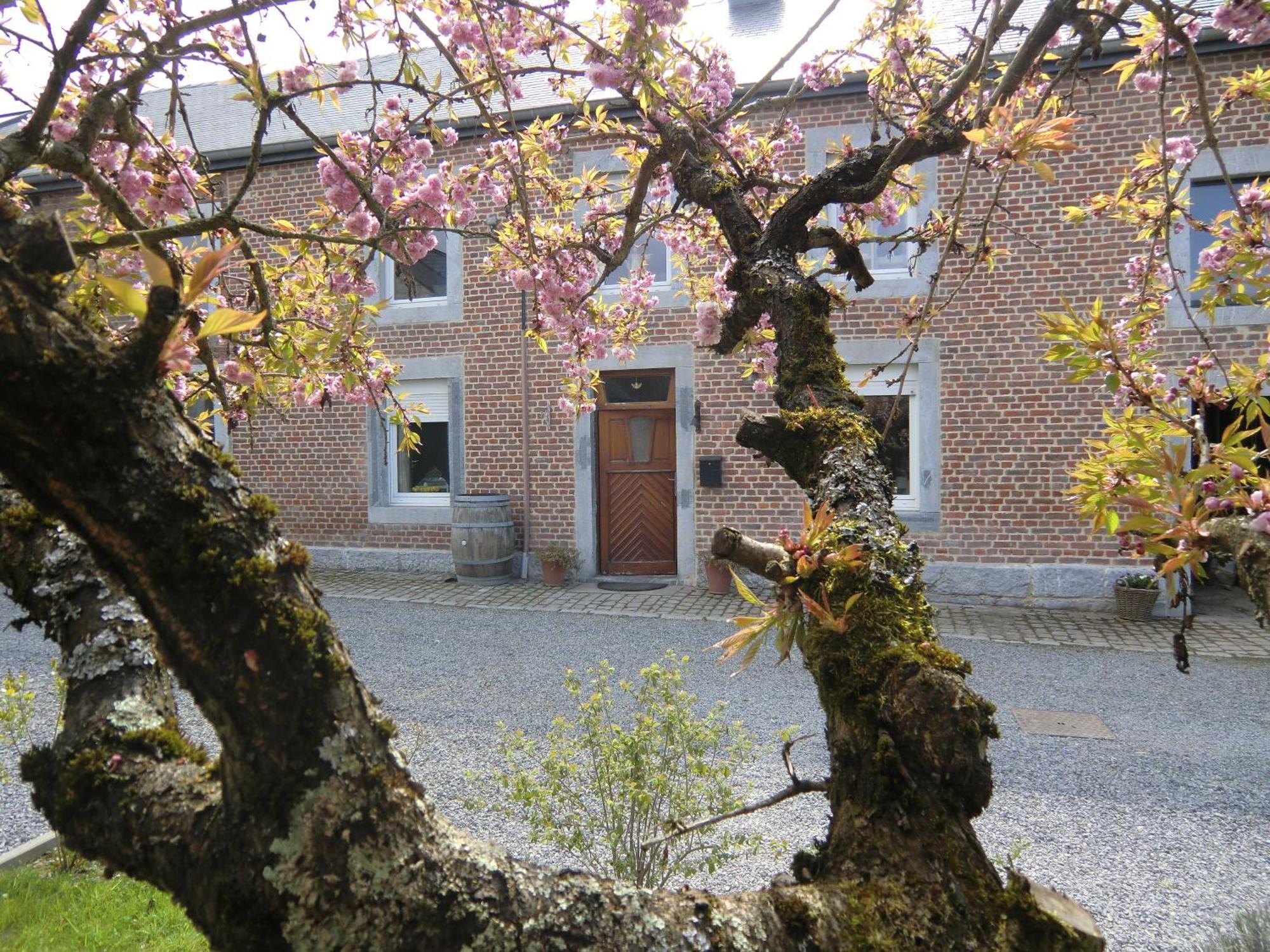 B&B Au Coeur De Villers Kültér fotó